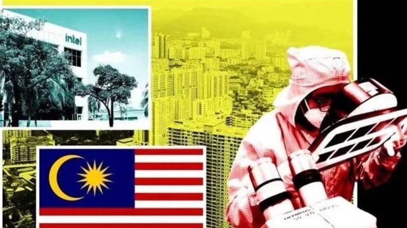 علم الدولة الفائزة