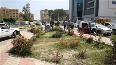 زراعة الأشجار ضمن المبادرة الرئاسية لزراعة 100 مليون شجرة بكفر الشيخ