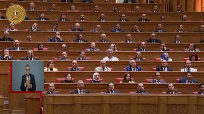 عاجل| تحت قبة البرلمان.. ترحيب شديد من النواب بالرئيس السيسي