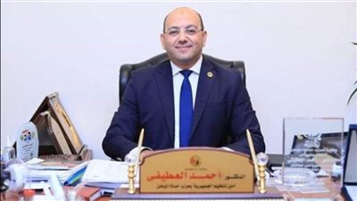 أمين تنظيم حماة الوطن: نهنئ الرئيس السيسي.. ونستكمل معًا بناء الدولة الحديثة تحت قيادته