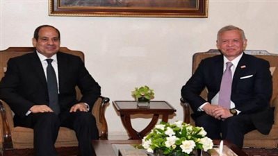 الرئيس السيسي وعاهل الأردن يؤكدان رفض تهجير الفلسطينيين خارج أراضيهم