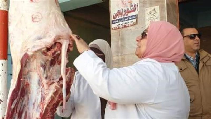 ضبط لحوم مخالفة