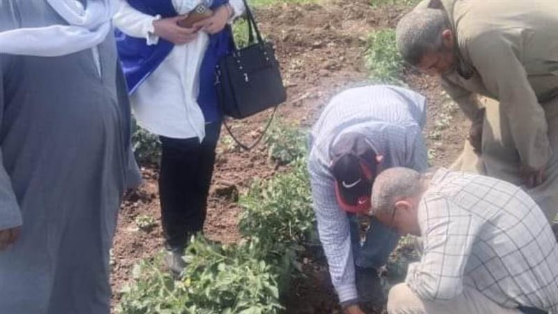 مشروعات زراعية ببنى