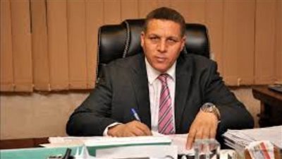 برلماني: تنصيب الرئيس السيسي نقطة انطلاق للمستقبل