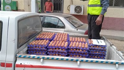 الزراعة تطرح بيض المائدة بسعر 140 جنيهًا للكرتونة