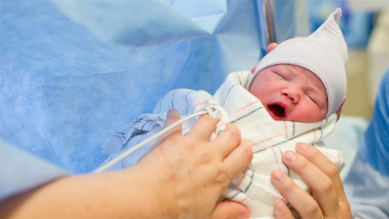 زيادة نسبة المواليد