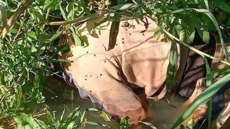 جثة المجني عليه