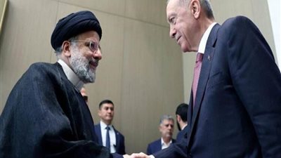 الرئيس التركي ونظيره الإيراني يبحثان القضايا الإقليمية والدولية