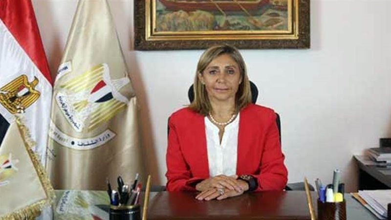 نيفين الكيلاني وزيرة