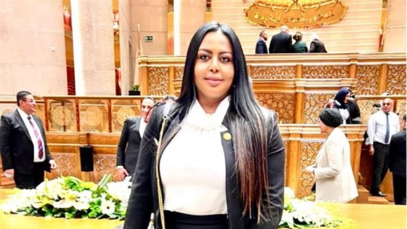 النائبة نفين حمدي