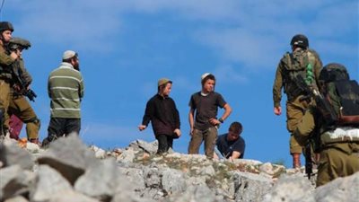 مستعمرون يعتدون على مساكن المواطنين في الأغوار الشمالية