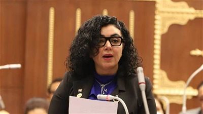 برلمانية تطالب المجتمع الدولي بضرورة التحرك لوقف إطلاق النار على غزة 