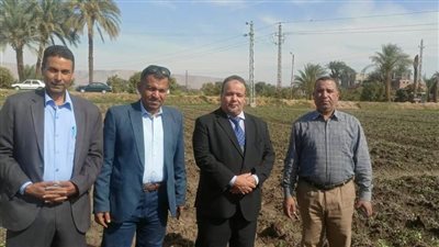 الزراعة تتابع زراعات الذهب الأبيض في محافظات الوجه القبلي