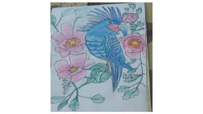 صفاء طه.. رسم بالفم 