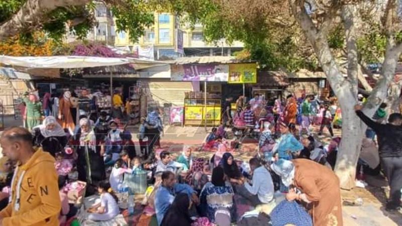 حدائق كفرالشيخ