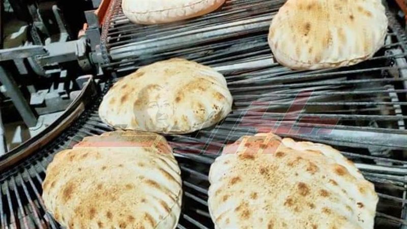 مخابز كفرالشيخ