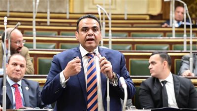 برلماني : الرئيس السيسي أول من حذر من اتساع دائرة الحرب