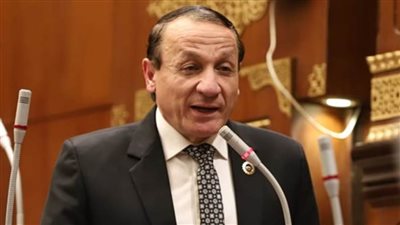 رئيس برلمانية حماة الوطن بالشيوخ يطالب بمواجهة تحديات التأمين الصحي بمحافظات المرحلة الثانية