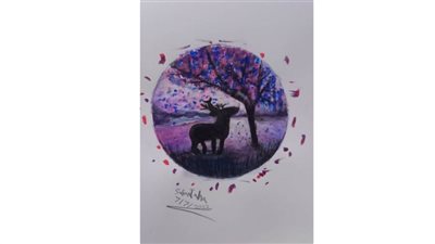 صفاء طه.. رسم بالفم 