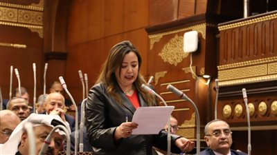 برلمانية تحذر من استمرار التصعيد بين الجانبين الإيراني والإسرائيلي