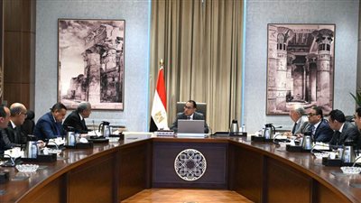 مدبولي يوجِّه بإعداد خطة للتوسُّع في استنباط أصناف من تقاوي الأرز قليلة استهلاك المياه