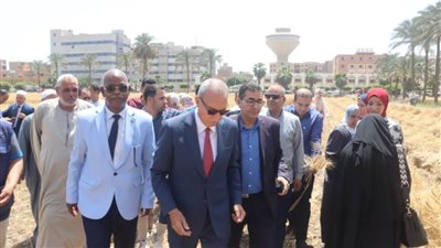 حصاد 10 آلاف فدان وتوريد 110 أطنان قمح لشون وصوامع القليوبية 