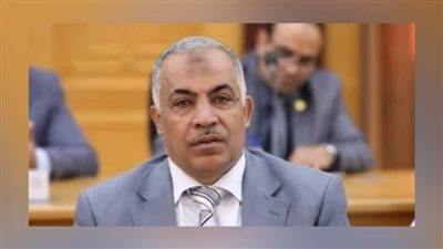 الدكتور رمضان الصاوي نائبًا لرئيس جامعة الأزهر للوجه البحري