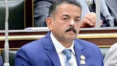 النائب حافظ عمران : الموقف المصري من القضية الفلسطينية ثابت ونال احترام العالم أجمع