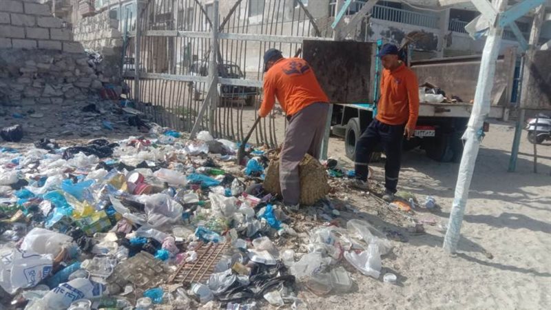 محافظ الإسكندرية