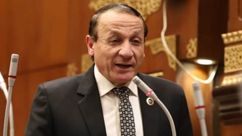 النائب أيمن عبد المحسن