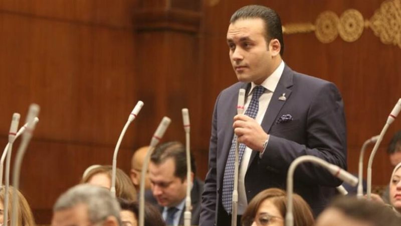 النائب عمرو فهمي