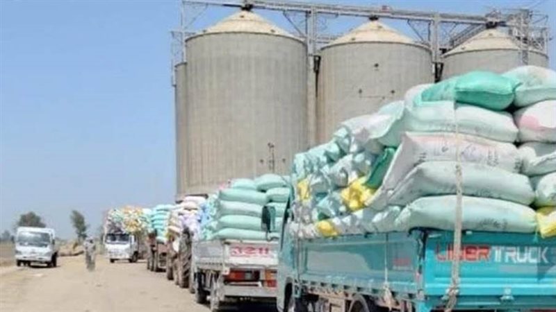 توريد القمح