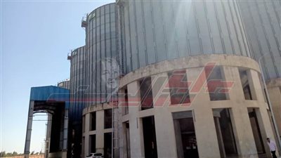 شون وصوامع كفر الشيخ تستقبل 582 طنا و493 كيلو قمح محلي