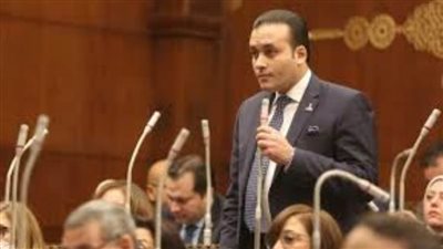 عمرو فهمي: القمة المصرية البحرينية فضحت جرائم الاحتلال وأكدت دعم القضية الفلسطينية