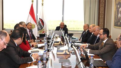 عصمت: القطاع الخاص شريك رئيسي في تنفيذ مشروعات التطوير والتحديث