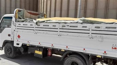 توريد 1352 طنا من محصول القمح إلى صوامع المنيا 