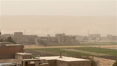رياح محملة بالأتربة تضرب محافظة أسيوط وتتسبب في حجب الرؤية (صور) 
