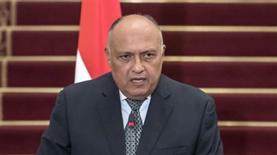 عاجل.. شكرى يؤكد مجددا رفض مصر التام لأية عملية عسكرية في رفح الفلسطينية