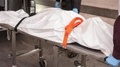 بسبب خلافات الجيرة مصرع شخص بالدقهلية