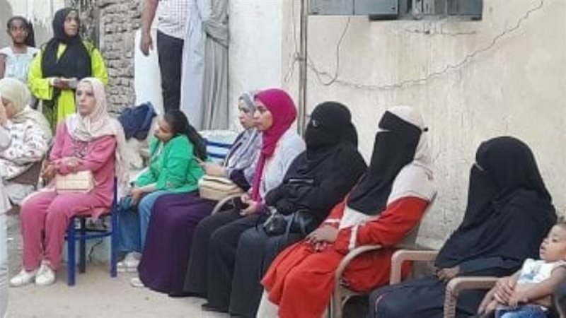 جانب من الفاعلية