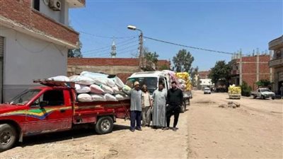 توريد 24 ألف طن قمح للصوامع والشون بالشرقية 