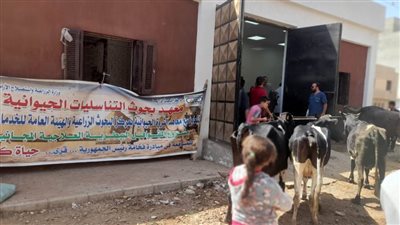معهد التناسليات الحيوانية ينظم قافلة بيطرية مجانية بالمنيا