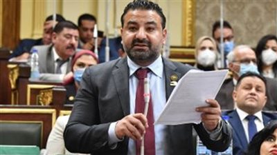 النائب محمد سلطان: تنفيذ وزارة الثقافة توصيات الحوار الوطني خطوة مهمة لتعزيز الهوية الوطنية