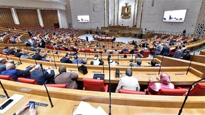 عاجل.. مجلس النواب يوافق مبدئيًا على قانون التأمين الموحد