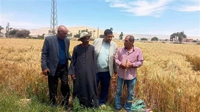 الفقي: توريد أكثر من 1300 طن أقماح حتى الآن