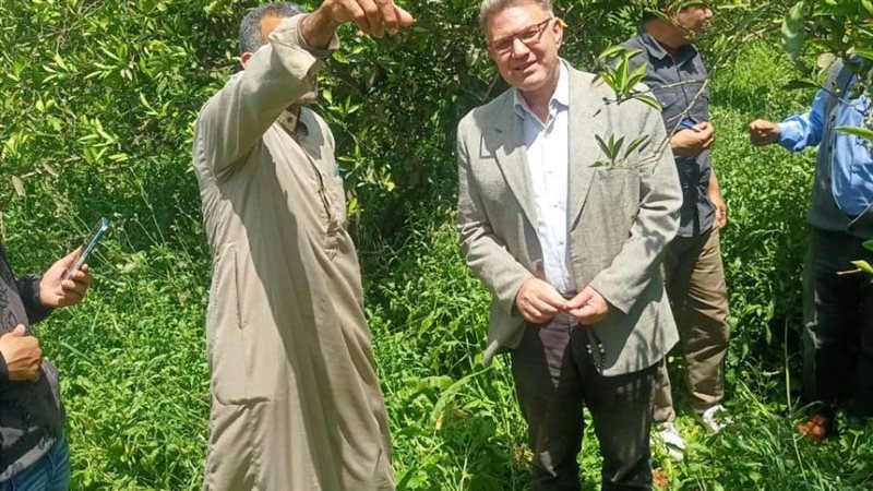 د. أحمد رزق رئيس