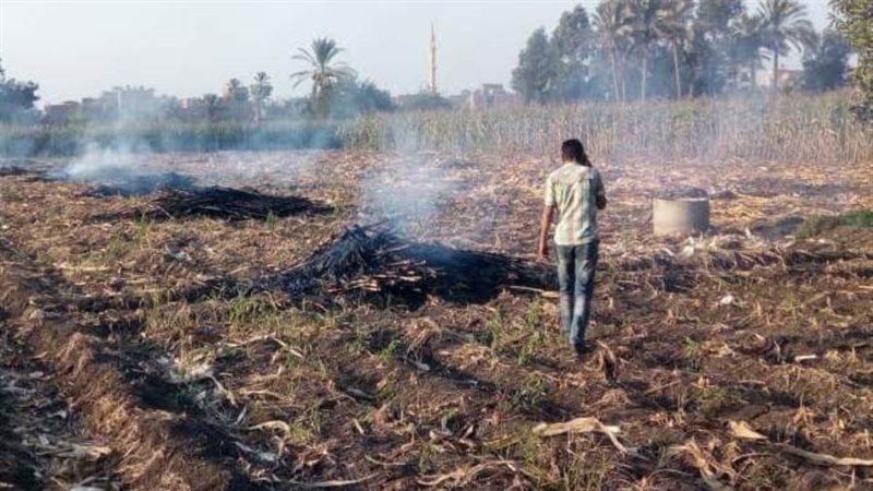 حرق مخلفات زراعية-