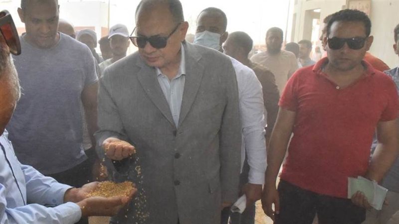 توريد القمح