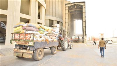  أسيوط: استقبال 5042 طن قمح بـ 28 شونة وصومعة  