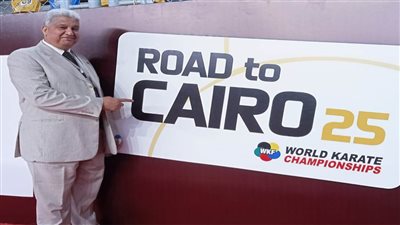 خبير كاراتيه يطلب حذف 3 ضربات أساسية من اللعبة